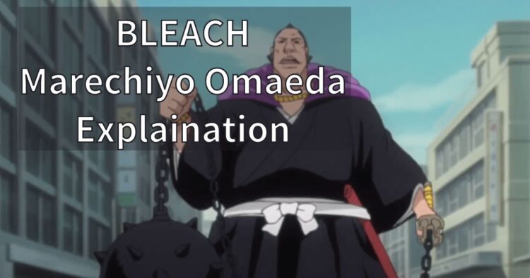 BLEACH Marechiyo Omaeda Explaination