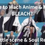 Where to wach BLEACH ANIME