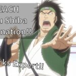 BLEACH Ganju Shiba Zanpakutou Explanation!!