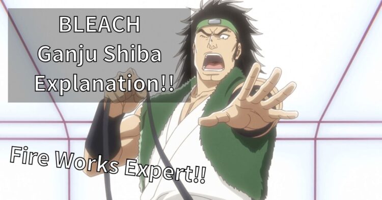 BLEACH Ganju Shiba Zanpakutou Explanation!!