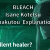 BLEACH Isane Kotetsu Zanpakutou Explanation!!