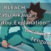 BLEACH Rabu Aikawa Zanpakutou Explanation!!