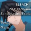 BLEACH Risa Yadoumaru Zanpakutou Explanation!!