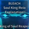 BLEACH Soul King Reio Explanation!!