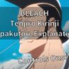 BLEACH Tenjiro KIrinji Zanpakutou Explanation!!