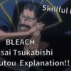 BLEACH Tessai Tsushigashi Zanpakutou Explanation!!