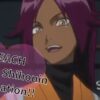 BLEACH Yoruichi Shihouin Explanation!!