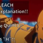 BLEACH Buzz-B Explanation!!