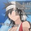 BLEACH Kukaku Shiba Zanpakutou Explanation!!