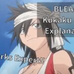 BLEACH Kukaku Shiba Zanpakutou Explanation!!