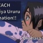 BLEACH Ururu Tumugiya Explanation