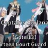 Gotei13 The Thirteen Court Guard Squads All captain Explanation